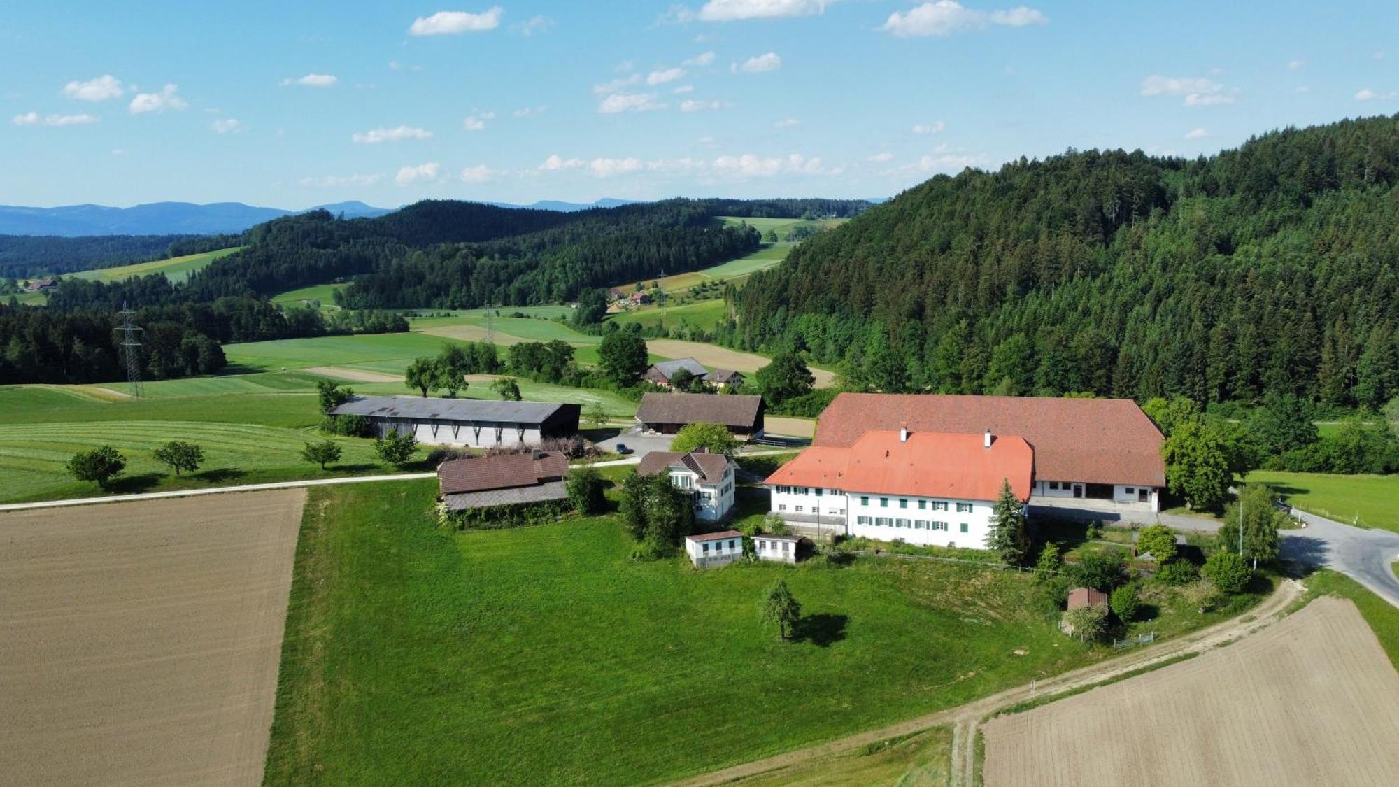 Berghof Erlebnis Ag Bed & Breakfast Pfaffnau Екстериор снимка